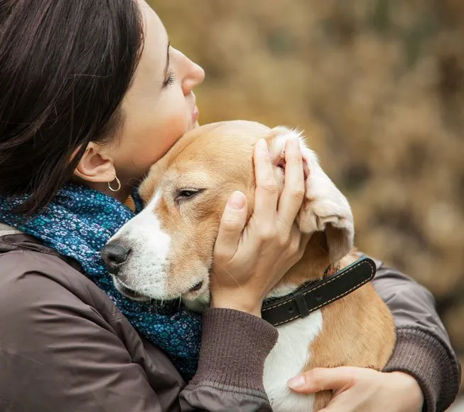 owner-cares-for-pet-dog